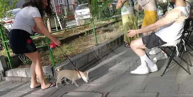 Папи Ханс се пусна по бели чорапки (Вижте какъв стил показа - Фото)