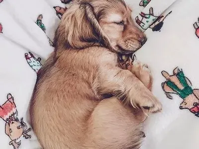 Престраши се: Елен Колева показа с кого спи (Снимка)