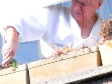 Васко Кеца прекарва карантината, обгрижвайки цветята на балкона си