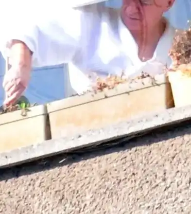 Васко Кеца прекарва карантината, обгрижвайки цветята на балкона си