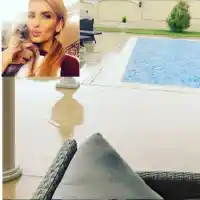 Анелия с перфектно поддържан храст