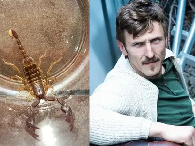 Димо Алексиев гледа скорпиони