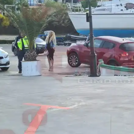 След случая с колата-амфибия, Норчето разкри, че само заработва, без да й подаряват джипове (И още философски прозрения)