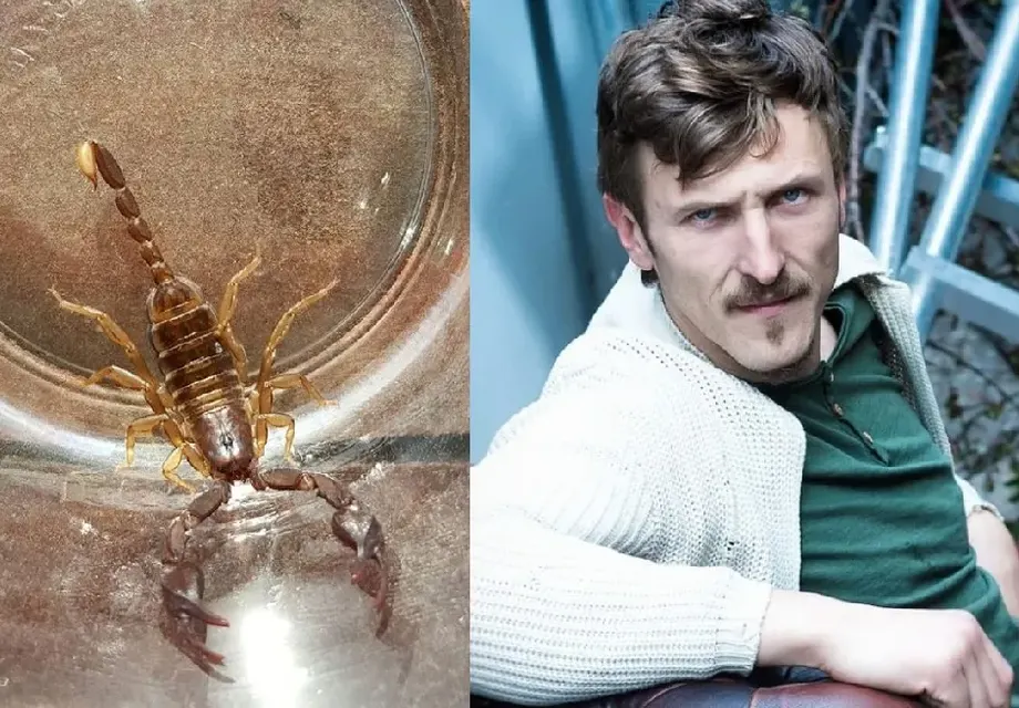 Димо Алексиев гледа скорпиони