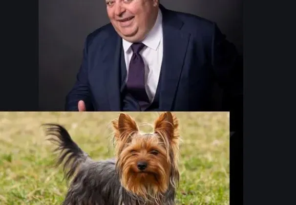 Кучето на Нейков лае като мутра