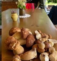Марта Вачкова се натрови с гъби, но крие (Снимки)