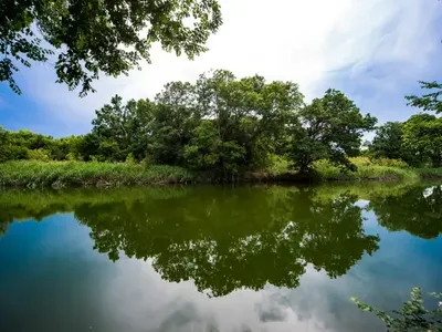 Диваци нападат фермери и богаташи в новия сезон на „Игри на волята”
