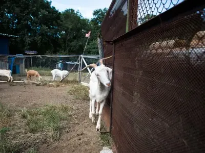 Диваци нападат фермери и богаташи в новия сезон на „Игри на волята”