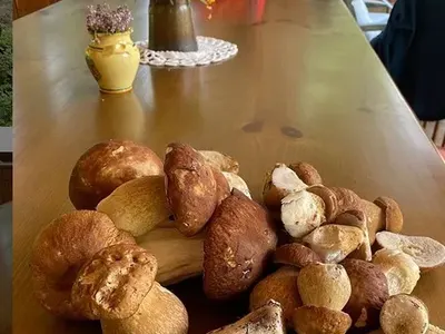 Марта Вачкова се натрови с гъби, но крие (Снимки)