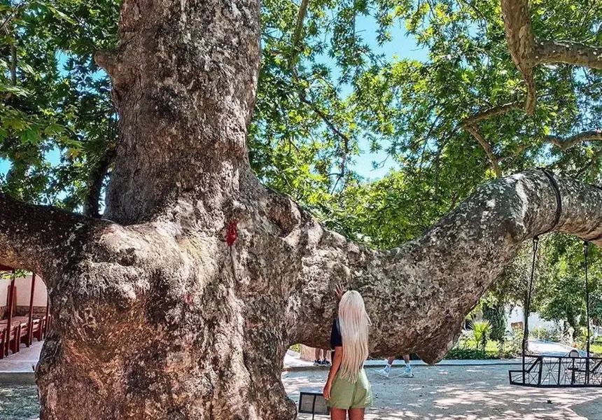Отчаяната Андреа търси помощ от Преподобна Стойна, надява се да зачене