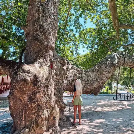 Отчаяната Андреа търси помощ от Преподобна Стойна, надява се да зачене