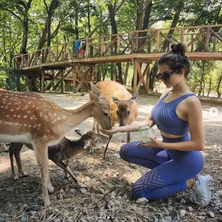 Райна храни сърни в зоопарка