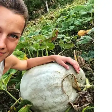 Дария Симеонова цепи мрака с тиква гигант