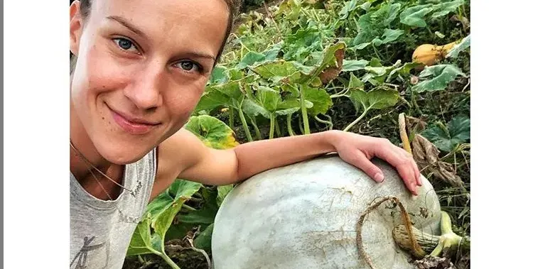 Дария Симеонова цепи мрака с тиква гигант