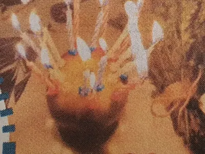 Диляна Попова духа на ябълка (Снимка)