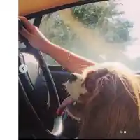 Кака Лара гази закона, докато кара