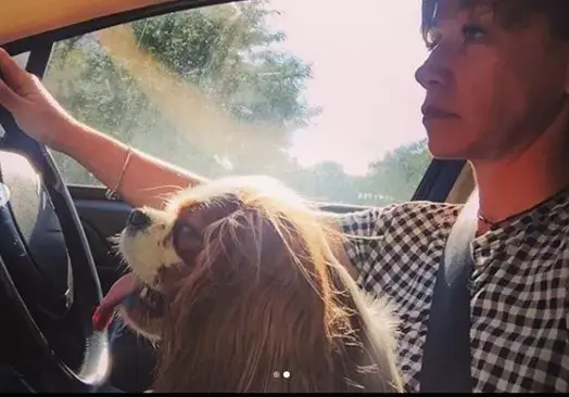 Кака Лара гази закона, докато кара