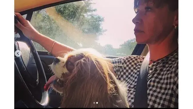 Кака Лара гази закона, докато кара