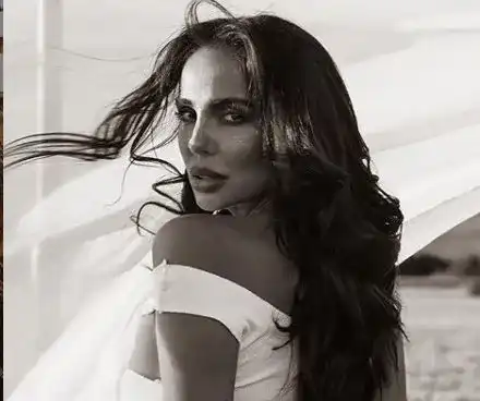 Кон се вдърви под Николета (ФОТО в галерия)