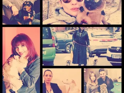 Мания: Джизъса отглежда леопард, Димо Алексиев  живее със скорпион, Джина с 20 котки и още… (СНИМКИ)