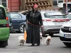 Мания: Джизъса отглежда леопард, Димо Алексиев  живее със скорпион, Джина с 20 котки и още… (СНИМКИ)