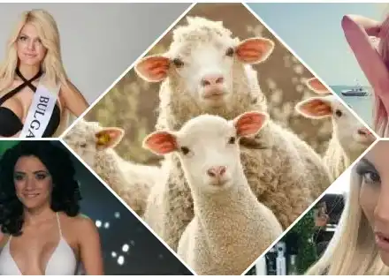 Миски учат висше след висше, сменят светския живот с работа на полето