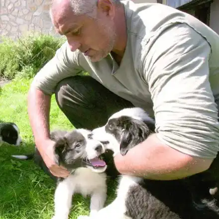 Породата на Бойко във „Фермата“