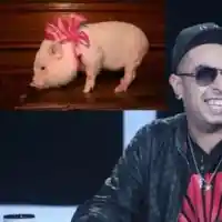 100 Кила живееше с прасе, смени го с куче