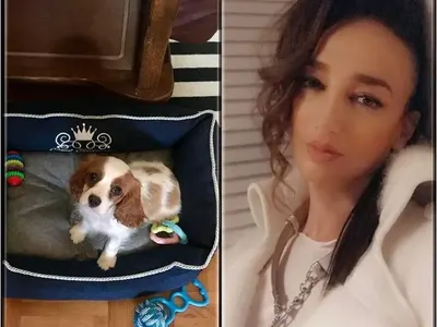 Деси Тенекеджиева спаси бебе куче