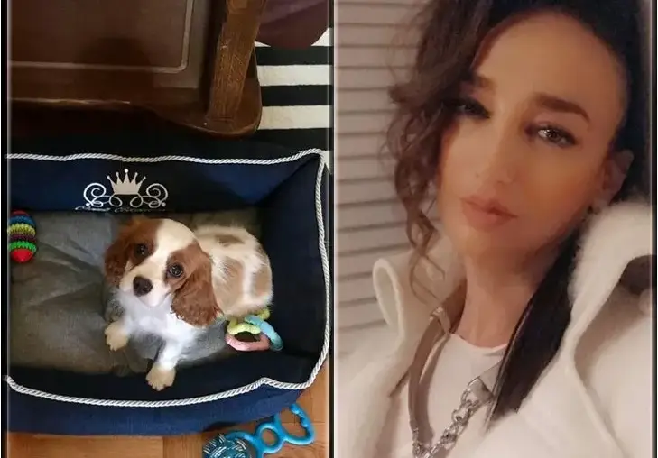 Деси Тенекеджиева спаси бебе куче