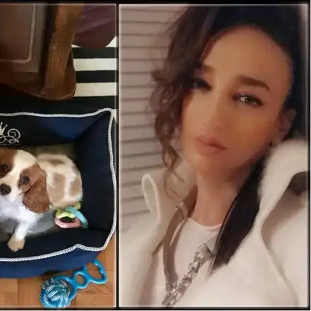 Деси Тенекеджиева спаси бебе куче