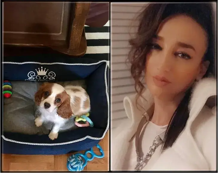 Деси Тенекеджиева спаси бебе куче