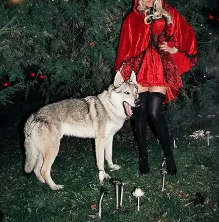 Емилия като секси Червена шапчица