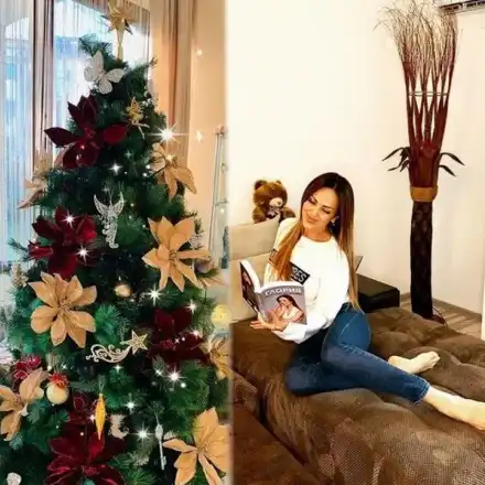 Глория украси елхата