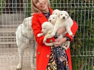 Жаси от „Сделка или не“ се разделя с бебета си