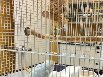 Бившата жена на Бойко е съсипана: Сърцето ме боли!