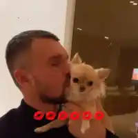 Божинов мина от малки котета на малки кученца (Снимки)