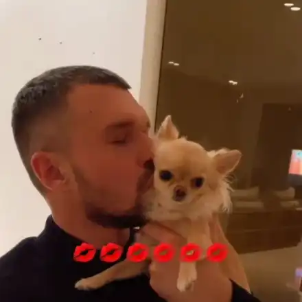 Божинов мина от малки котета на малки кученца (Снимки)