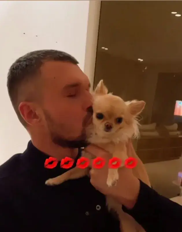 Божинов мина от малки котета на малки кученца (Снимки)