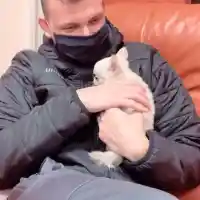 Божинов мина от малки котета на малки кученца (Снимки)