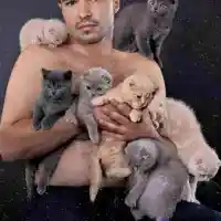 Божинов мина от малки котета на малки кученца (Снимки)