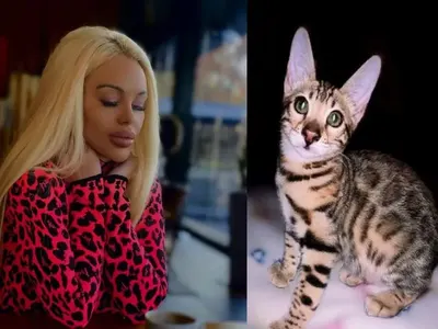 Кристин гали коте (ФОТО)