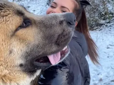 Преслава си отглежда звяр вкъщи! (СНИМКИ)