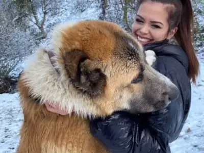 Преслава си отглежда звяр вкъщи! (СНИМКИ)