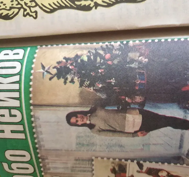 Вижте коледния дом на Любо Нейков