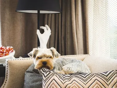 Гери Малкоданска живее в лукс за 2 милиона (Уникални снимки)