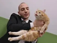 Цитиридис ходи на работа с котката си