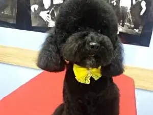 Гергана от „Къртицата“ показа новия си (СНИМКИ)