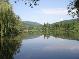 The Greens collect EUR 350 000 per vulture