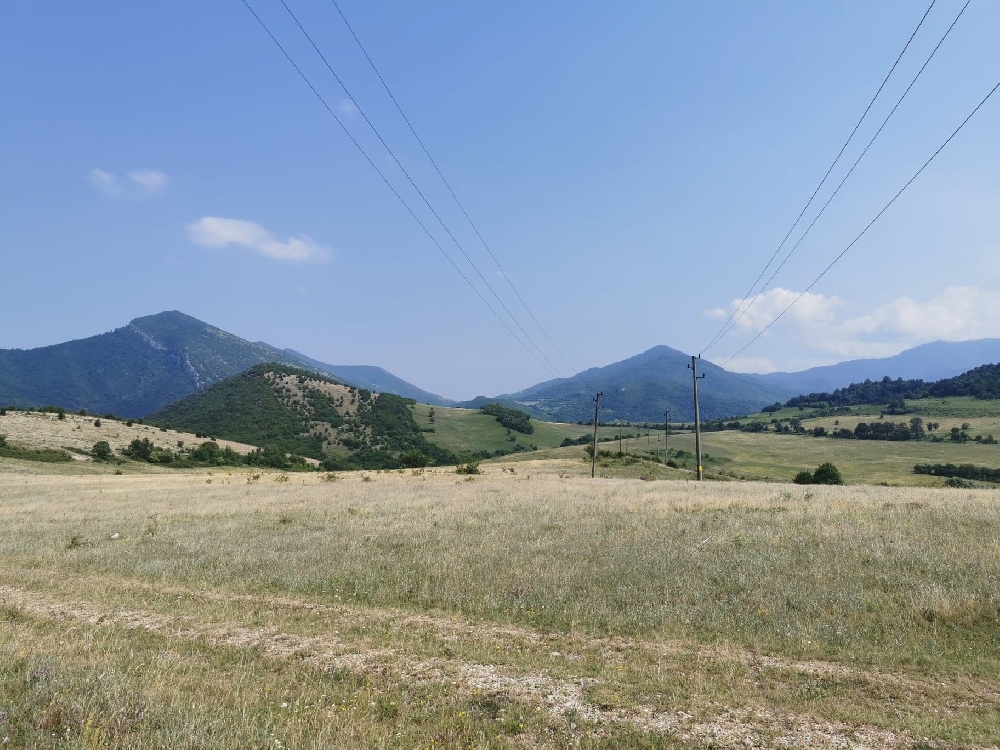 The experts from the Bulgarian Academy of Sciences and the Greens evaded the reporting under NATURA 2000
